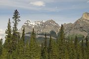 30 - Banff to Icefields - IMG_0945